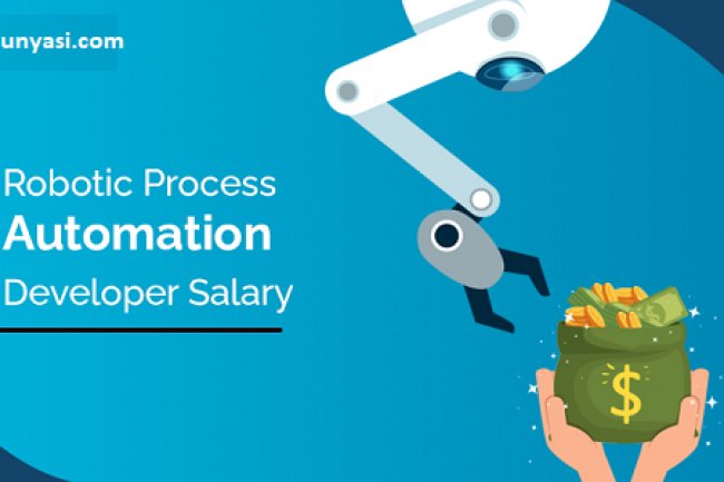 Rpa Developer Maaşları